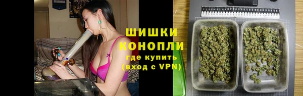 ALPHA PVP Иннополис