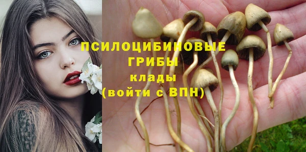 ALPHA PVP Иннополис