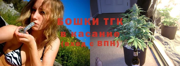 мдпв Инта