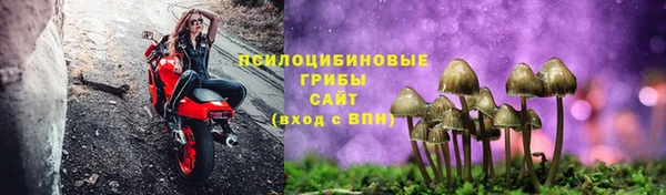 мдпв Инта