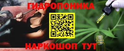 сатива Лесосибирск