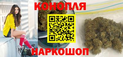 сатива Лесосибирск